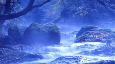 掘地挖宝